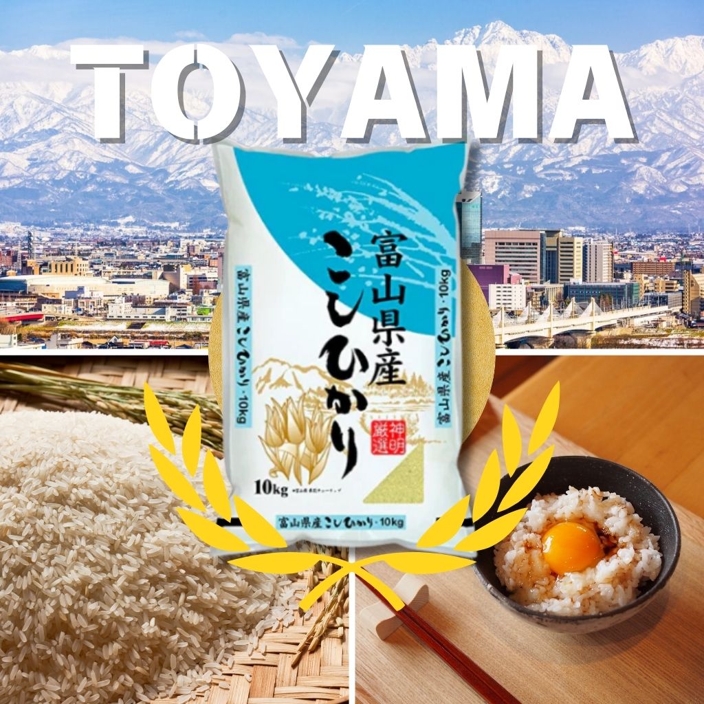 Toyama Reice – DAE-YANG & Japanese Delicatessen Atariya